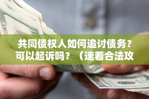 济南共同债权人如何追讨债务？可以起诉吗？（速看合法攻略）